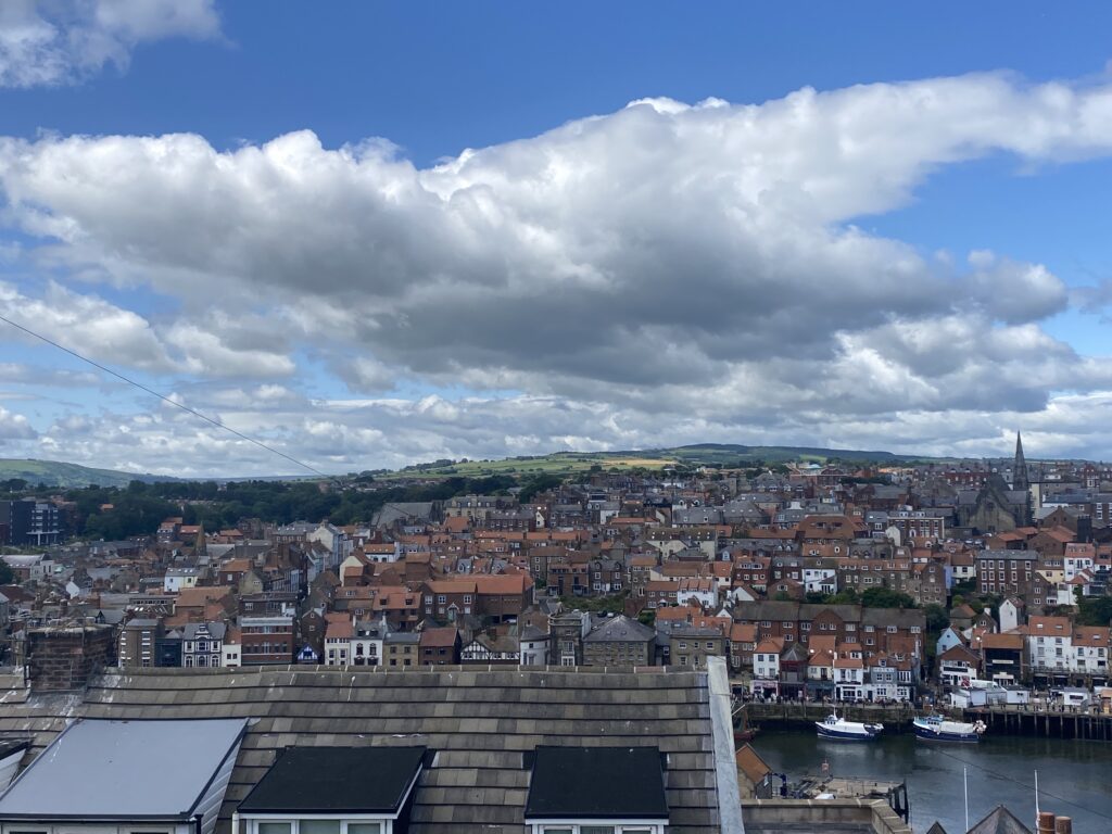 The view across Whitby from halfway up the stairs to the Whitby Abbey. There is a sea of houses with red roofs. 