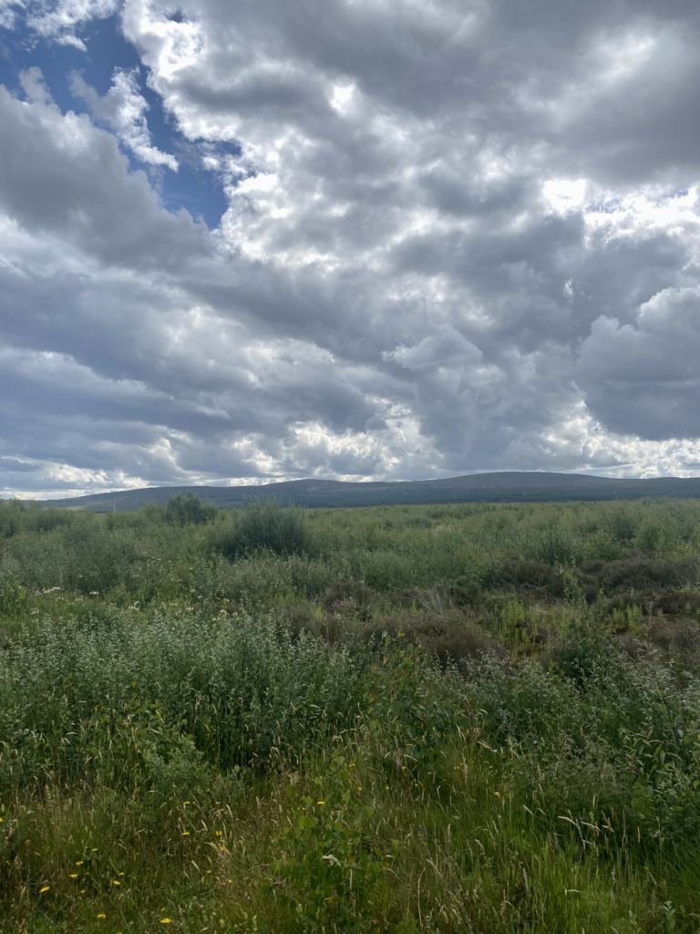 Culloden Battlefield