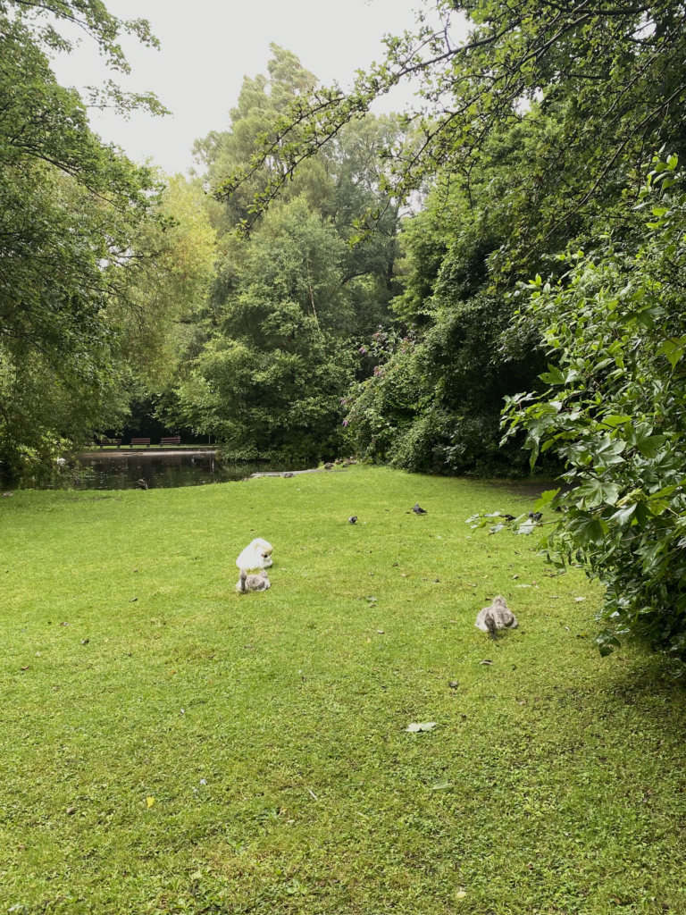 10 Free things to do in Dublin - St Stephens Green