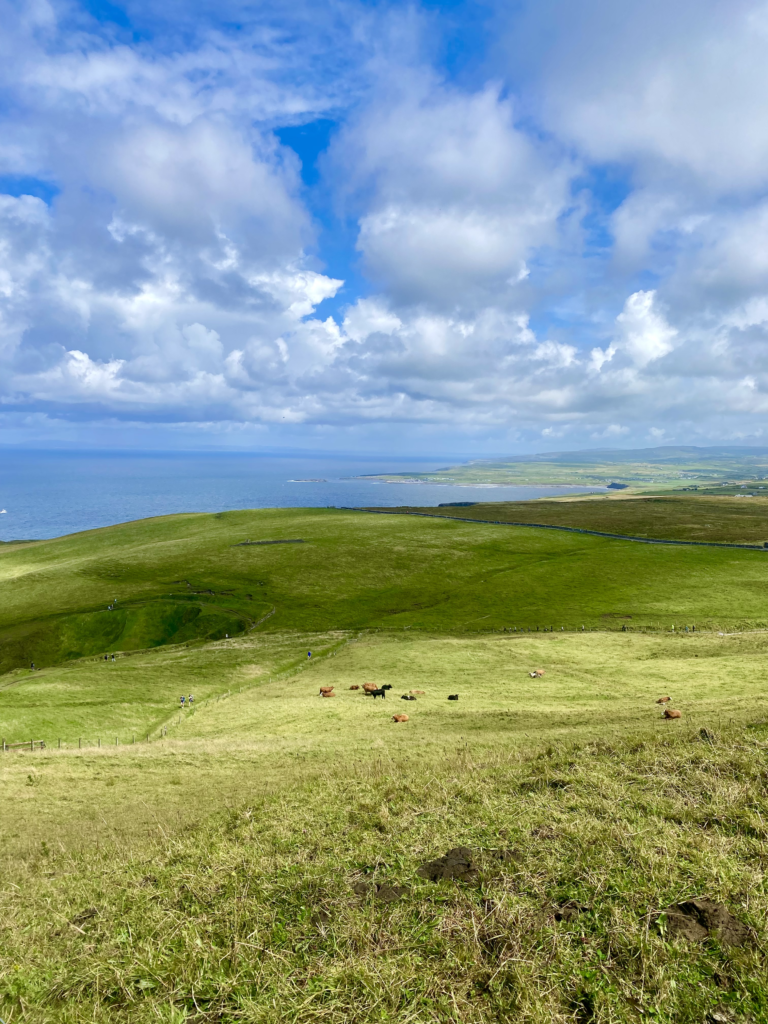 Cliffs of Moher: How to Plan an Independent Day Trip from Galway