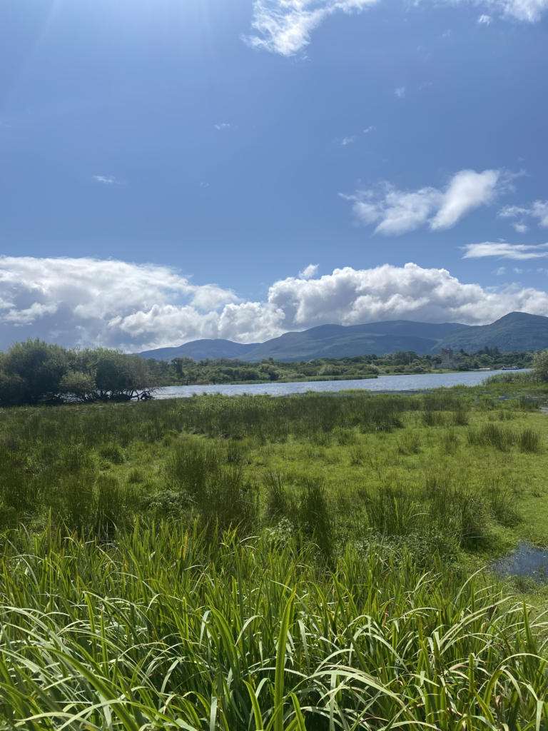 Ross Castle Killarney Ireland Ring of Kerry