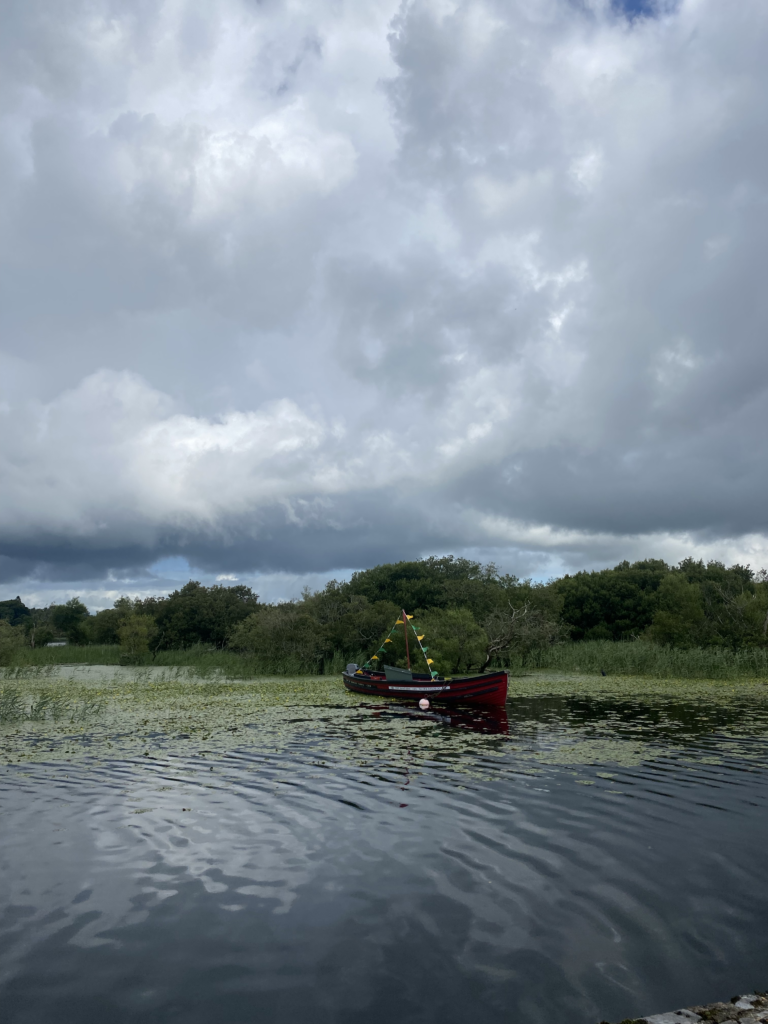 Ultimate Guide to Things to Do in Killarney Ring of Kerry Ireland Car-Free (2024)