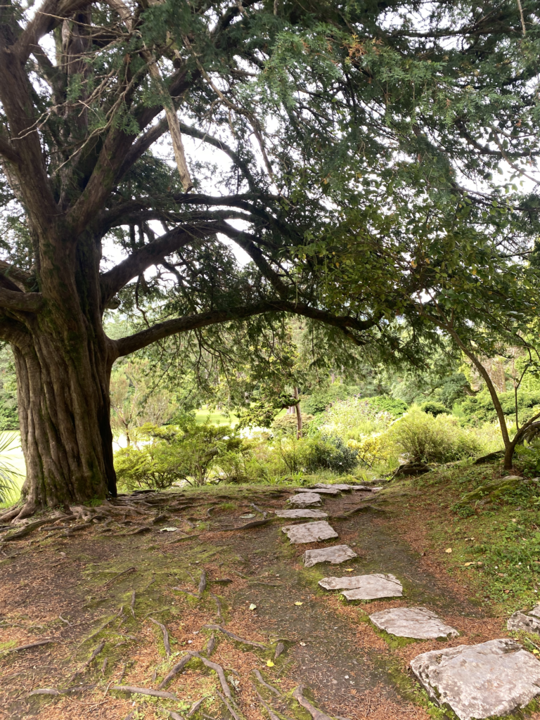 ring of kerry killarney ireland muckross house