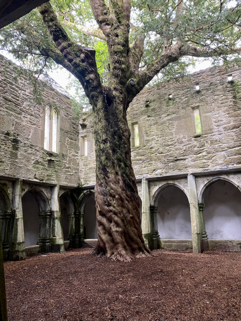 ring of kerry killarney ireland muckross abbey