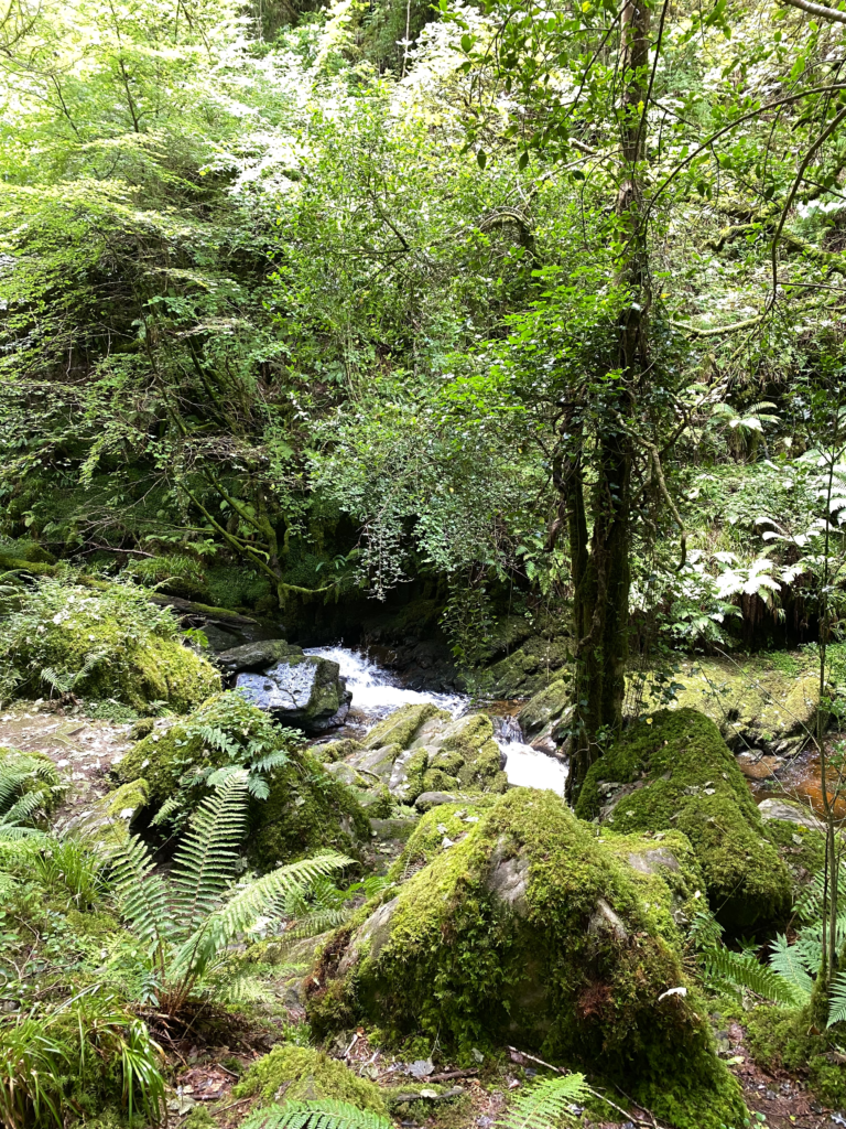 ring of kerry killarney ireland torc waterfall